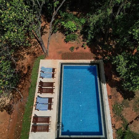 Isanka Lion Lodge Sigiriya Luaran gambar