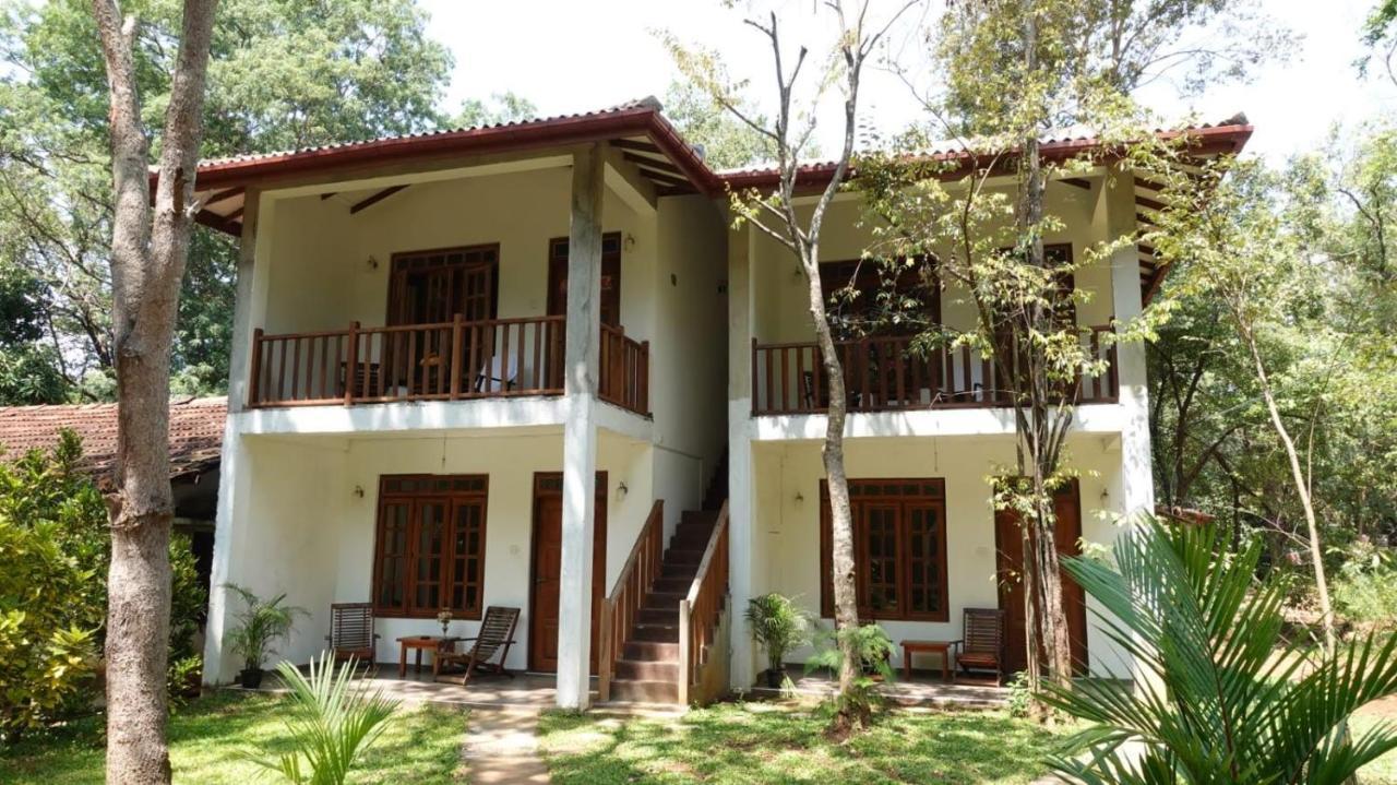 Isanka Lion Lodge Sigiriya Luaran gambar
