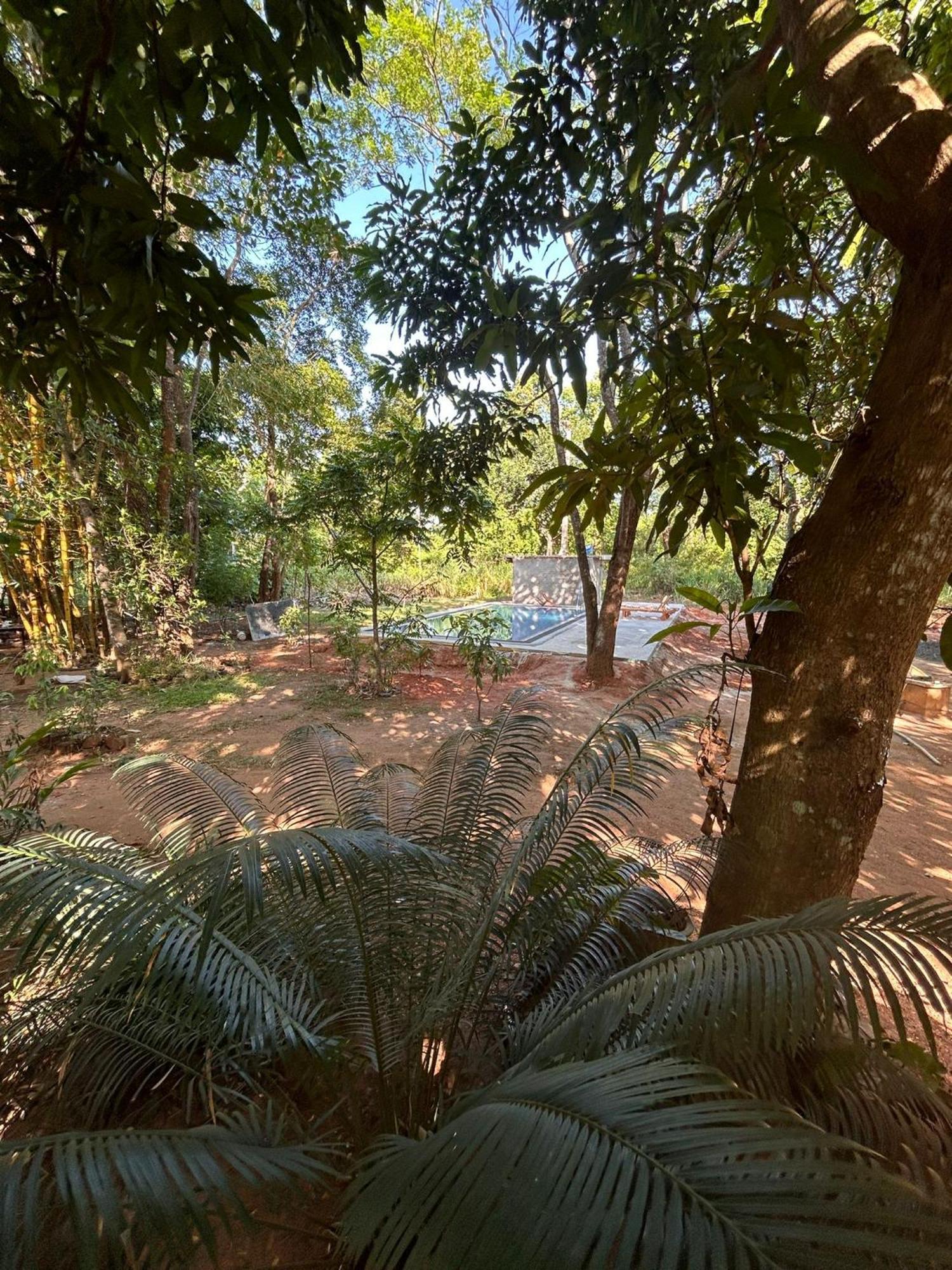 Isanka Lion Lodge Sigiriya Luaran gambar